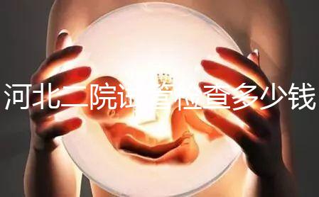 河北二院試管檢查多少錢公布，項目不同價格自然有所差異