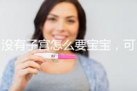 沒有子宮怎么要寶寶，可以做試管嬰兒嗎？