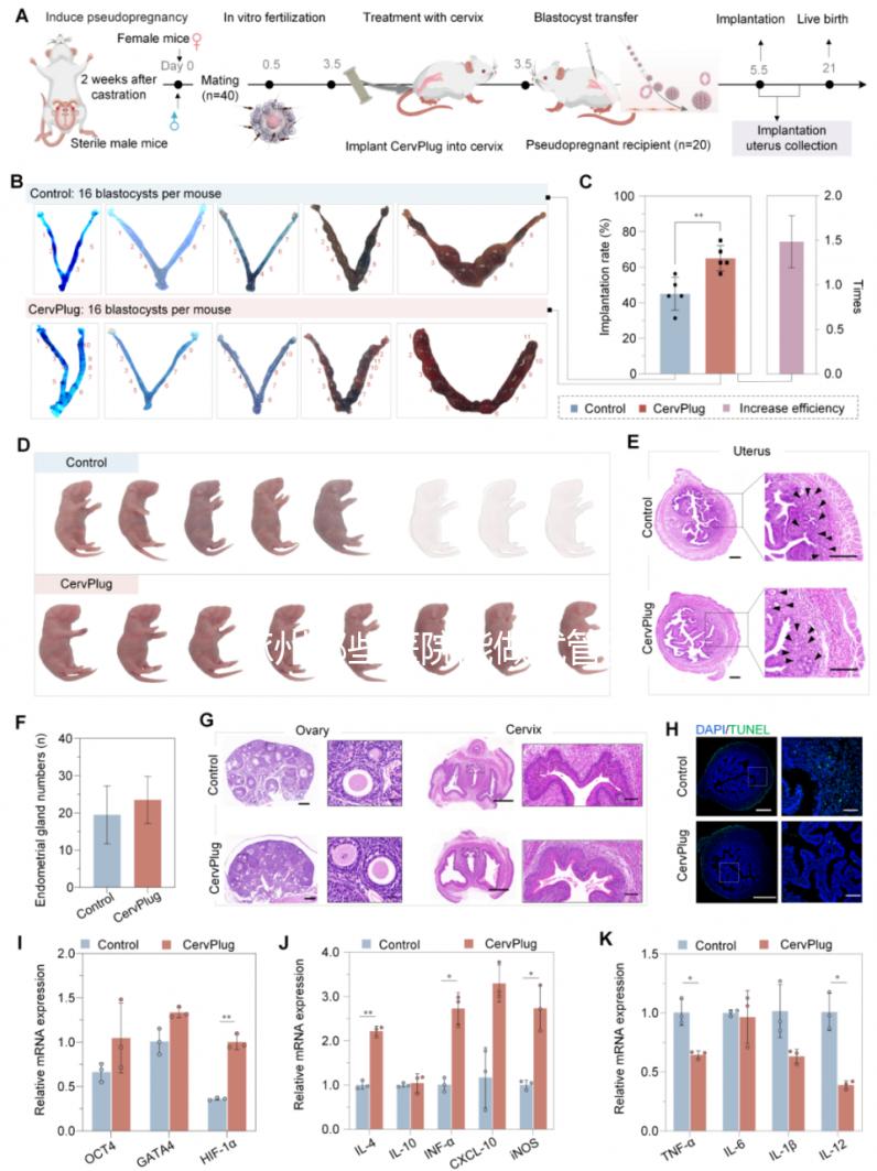 涿州哪些醫院能做試管嬰兒？聽聽姐妹們的答案