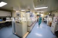 混血兒優(yōu)缺點(diǎn)解析：跟壽命短真的沒(méi)關(guān)系