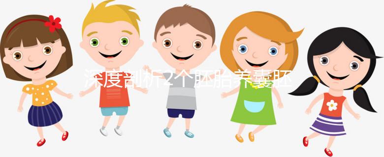 深度剖析2個(gè)胚胎養(yǎng)囊胚的成功率，可以養(yǎng)成幾個(gè)一目了然