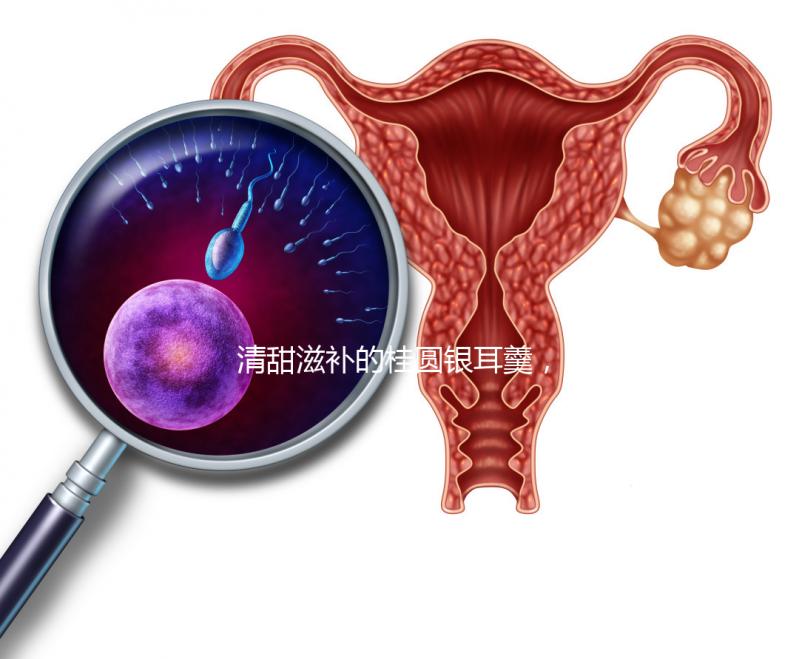 清甜滋補的桂圓銀耳羹，孕婦食用不再擔心上火