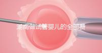 湖南做試管嬰兒的全部費用大概是多少錢？附湖南試管嬰兒醫(yī)院排名一覽！