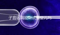 子宮縱隔能做試管嬰兒嗎?妊娠成功率給你最終答案