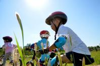 子宮內(nèi)膜異位癥可通過(guò)試管嬰兒技術(shù)，解決不孕難題