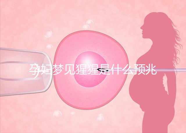 孕婦夢(mèng)見(jiàn)猩猩是什么預(yù)兆？帶你了解相關(guān)胎夢(mèng)解讀