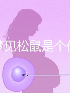 孕婦夢(mèng)見(jiàn)松鼠是個(gè)什么樣的胎夢(mèng)?相關(guān)寓意解讀