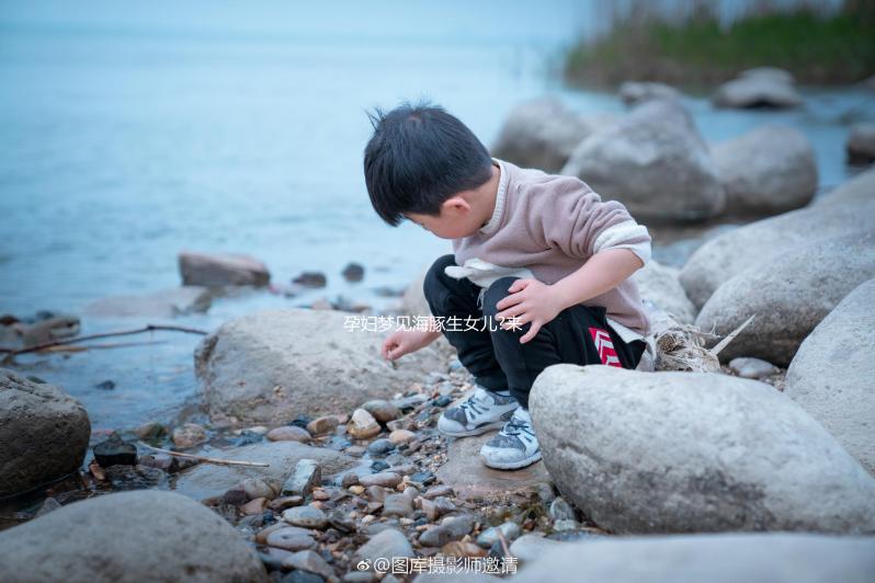 孕婦夢(mèng)見(jiàn)海豚生女兒?來(lái)看看具體胎夢(mèng)的解讀吧