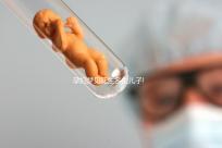 孕婦夢(mèng)見花生多生兒子!做此胎夢(mèng)的姐妹們就偷著樂吧