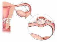 孫權和奧巴馬居然也扯得上關系：他們都是混血兒