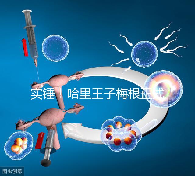 實錘！哈里王子梅根正式公布寶寶名字：阿爾奇·哈里森