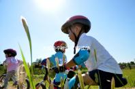 大概是個(gè)吃貨吧!解讀孕婦夢(mèng)見香蕉的寓意