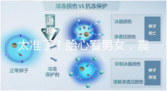 太準了！胎心看男女，震驚結果大于150就一定是女孩