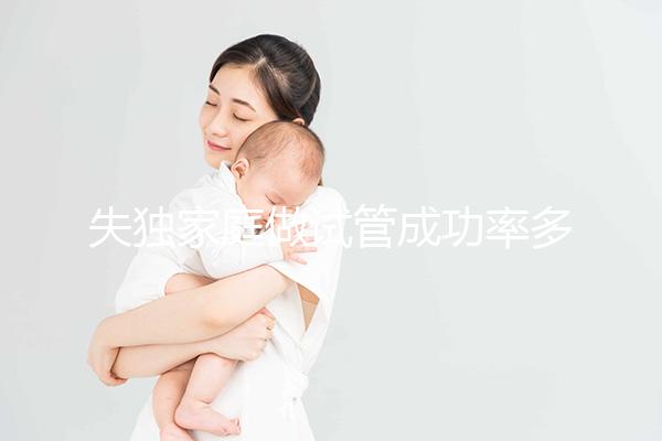 失獨(dú)家庭做試管成功率多少答案在這，附三大真實(shí)案例分享