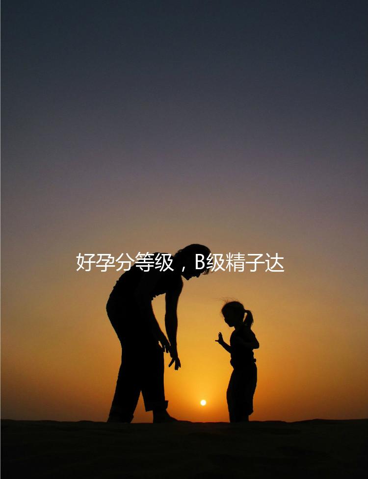 好孕分等級(jí)，B級(jí)精子達(dá)這個(gè)正常標(biāo)準(zhǔn)“孕路”無(wú)阻