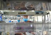 女人打胎后的風(fēng)水忌諱速來觀看，破解方法或能起關(guān)鍵作用