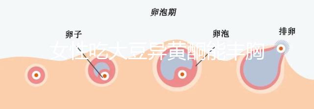 女性吃大豆異黃酮能豐胸？別再被這些虛假?gòu)V告給忽悠了