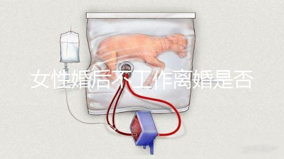 女性婚后不工作離婚是否還錢有規定，如何處理需要早知道