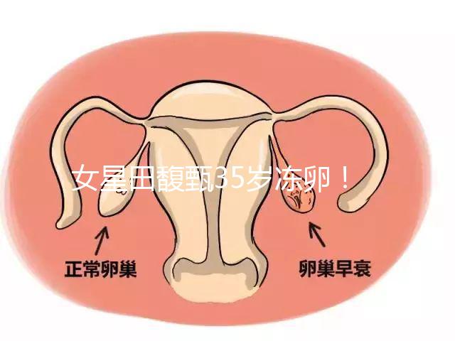 女星田馥甄35歲凍卵！揭秘你不知道的明星凍卵過程