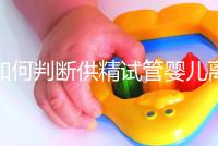 如何判斷供精試管嬰兒離婚，會不會一目了然地判給女方？