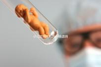 小兒發燒不吃藥一晚退燒的五個秘方來了，家里沒藥也不慌