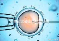 小栗旬老婆山田優二胎降生，曾挺6月孕肚騎車接送大女兒