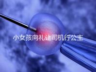 小女孩向禮讓司機(jī)行公主禮，這家庭教育得到網(wǎng)友們認(rèn)可