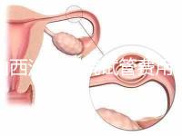 山西汾陽醫院試管費用清單公布，2024年生殖科助孕成功率公布