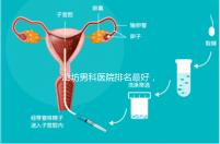 廊坊男科醫院排名最好，醫院出爐！廣陽這些機構可以排隊