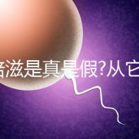 巢倍滋是真是假?從它的主要成分就可以看出來