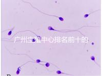 廣州生殖中心排名前十的醫(yī)院列舉，權(quán)威醫(yī)療機(jī)構(gòu)都在這