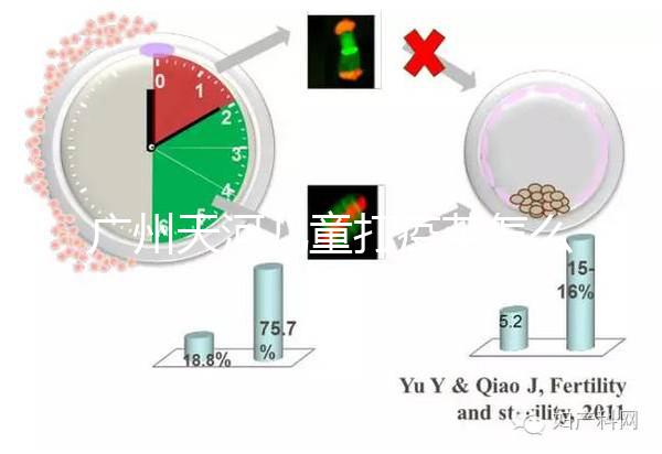 廣州天河兒童打疫苗怎么網上預約，這份APP使用指南快看