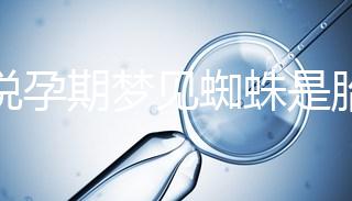 都說(shuō)孕期夢(mèng)見蜘蛛是胎夢(mèng)，咬人、爬身上意思都不同快收藏