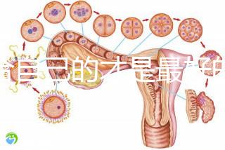適合自己的才是最好的!這些人推薦用試管短方案促排卵