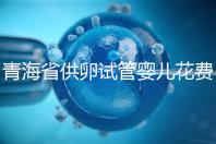 青海省供卵試管嬰兒花費明細表一覽，一次成功助孕費用最低