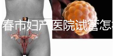 長春市婦產醫院試管怎樣問題解答，助孕成功率、費用可作參考