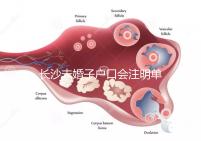 長沙未婚子戶口會注明單親家庭解密嗎？如果你不明白，來看看