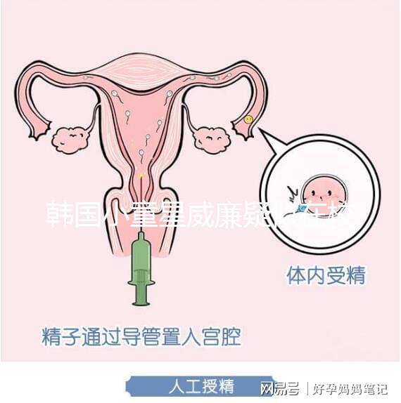 韓國小童星威廉疑似在校被霸凌？父親Sam辟謠：凹高冷人設(shè)