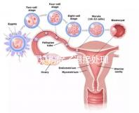 問(wèn)題奶粉除了退換處理，還可要求十倍標(biāo)準(zhǔn)的賠償金