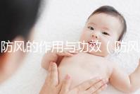 防風的作用與功效（防風的作用與功效與作用）