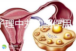 附子理中丸的副作用（附子理中丸的副作用和危害）