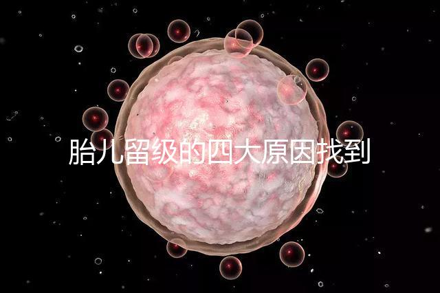 胎兒留級的四大原因找到了！多半和媽媽太懶不運動有關(guān)系