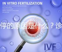 胎停的原因是什么？診斷鑒別80%是精子問題