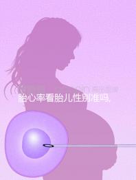 胎心率看胎兒性別準(zhǔn)嗎,因?yàn)檫@3種情況所以不行