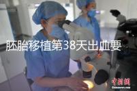 胚胎移植第38天出血要重視,約30%的孕婦會有流產風險