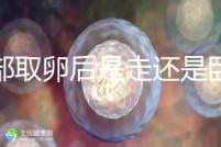 腹部取卵后是走還是臥床？適當(dāng)走路喝點(diǎn)紅豆水是正確做法