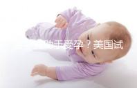 菠蘿有助于受孕？美國試管嬰兒移植后的5個冷知識都看看