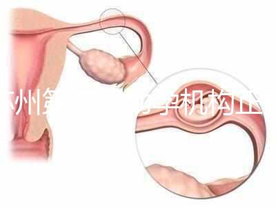 蘇州第三代助孕機(jī)構(gòu)正規(guī)可靠嗎？實地考察才為真