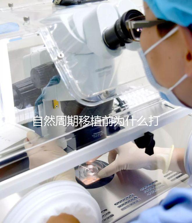 自然周期移植前為什么打絨促？作用不僅是提升妊娠率
