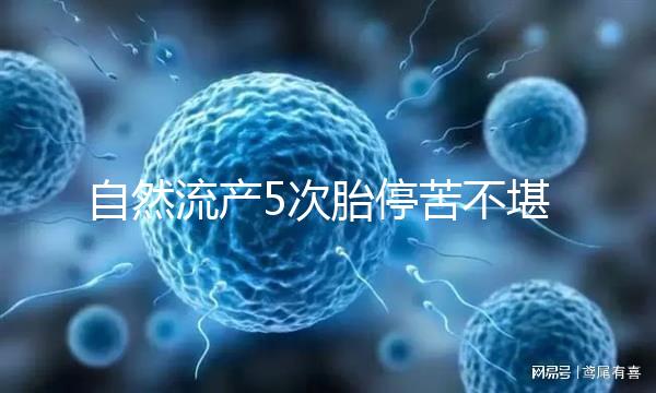 自然流產(chǎn)5次胎停苦不堪言， 試管嬰兒助孕一朝分娩喜之不盡！